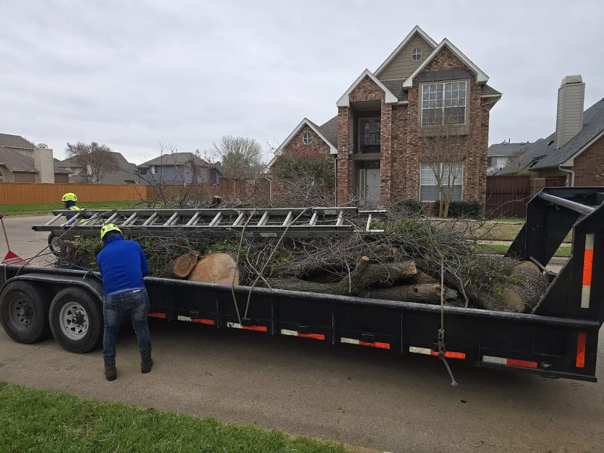 Expert Tree Removal with proper safety equipment in Ottawa